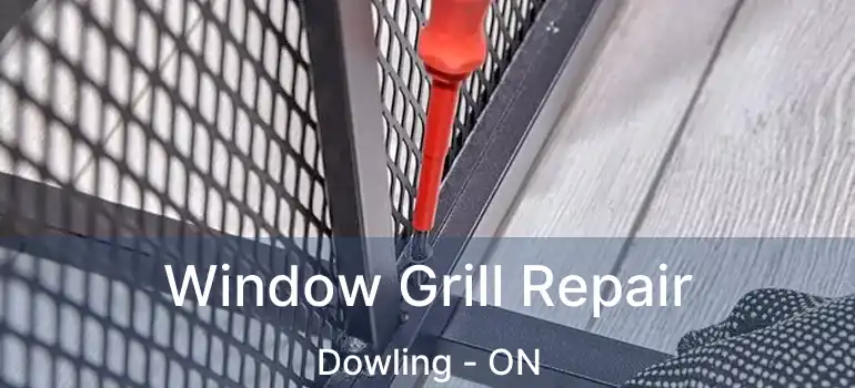  Window Grill Repair Dowling - ON