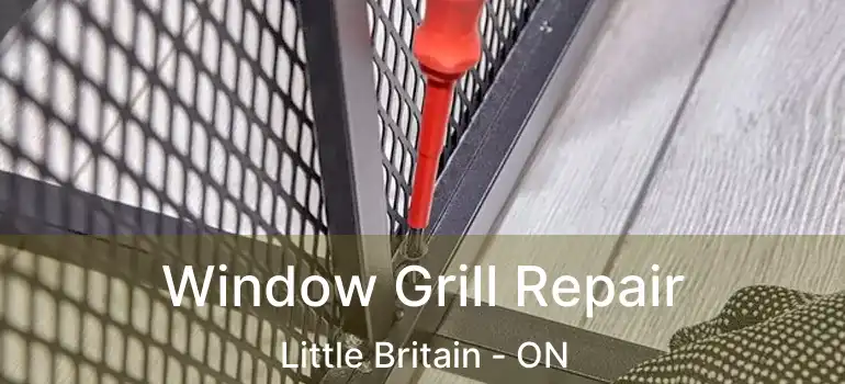  Window Grill Repair Little Britain - ON