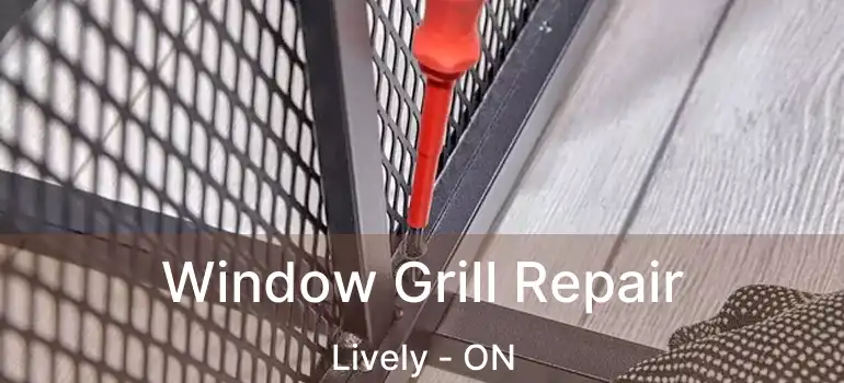  Window Grill Repair Lively - ON