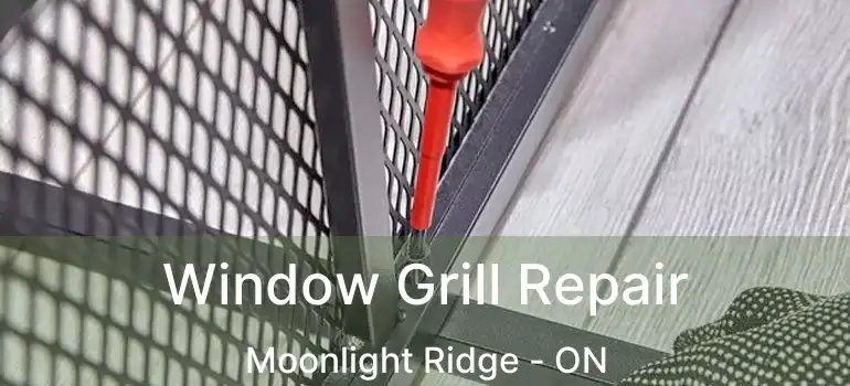  Window Grill Repair Moonlight Ridge - ON