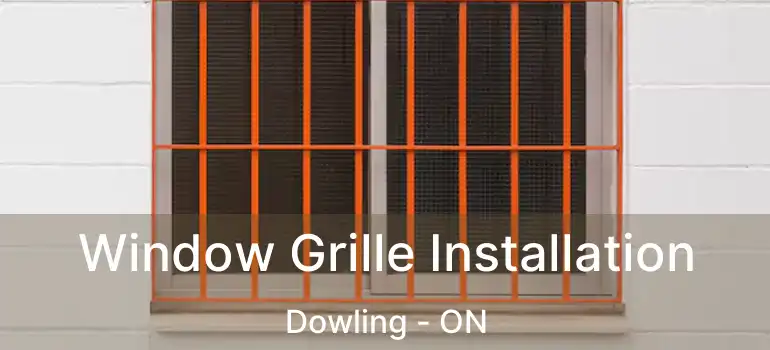  Window Grille Installation Dowling - ON