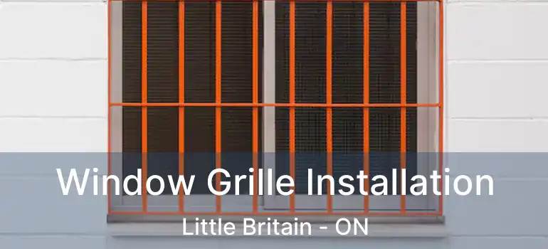  Window Grille Installation Little Britain - ON