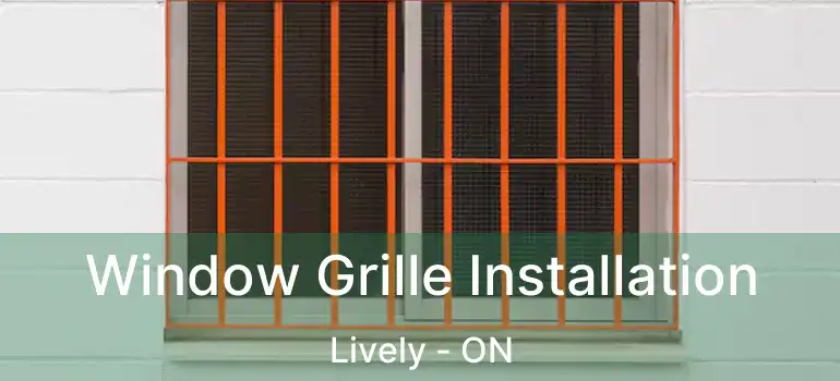  Window Grille Installation Lively - ON