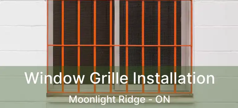  Window Grille Installation Moonlight Ridge - ON