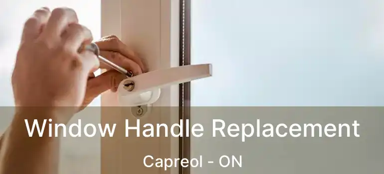  Window Handle Replacement Capreol - ON