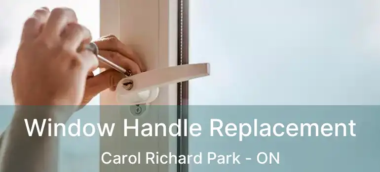  Window Handle Replacement Carol Richard Park - ON