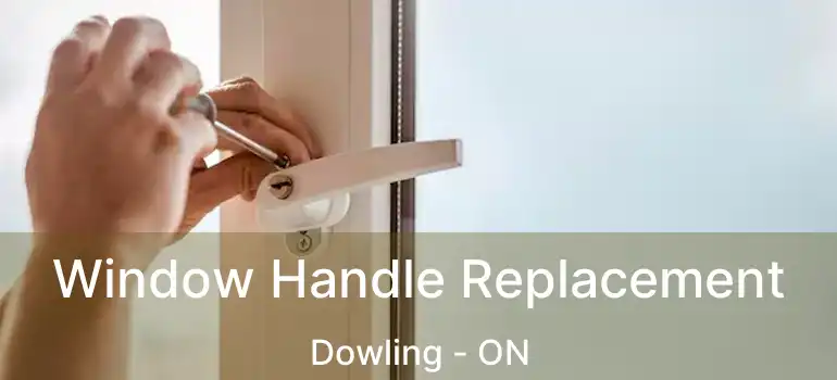  Window Handle Replacement Dowling - ON