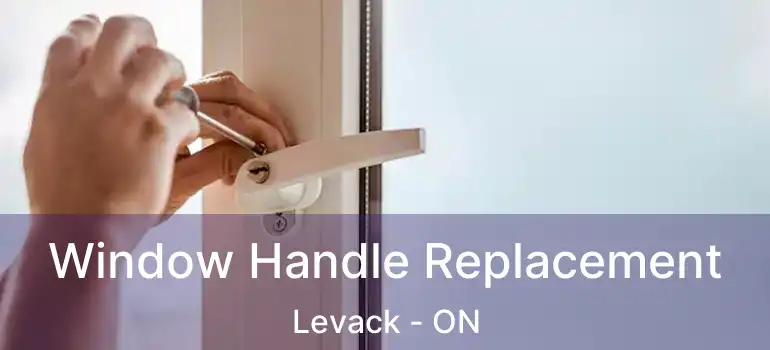  Window Handle Replacement Levack - ON