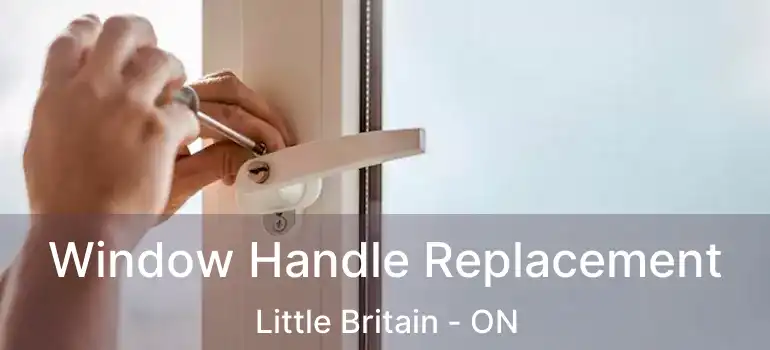  Window Handle Replacement Little Britain - ON