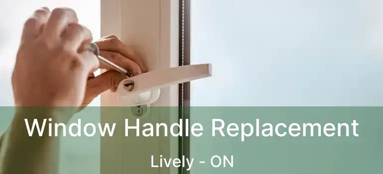  Window Handle Replacement Lively - ON