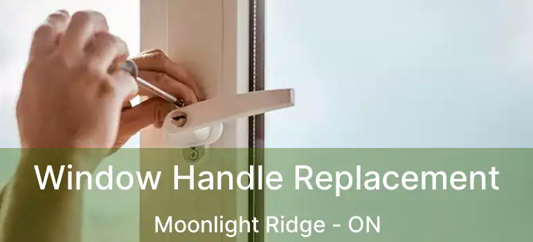  Window Handle Replacement Moonlight Ridge - ON