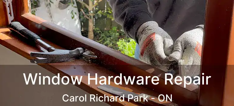  Window Hardware Repair Carol Richard Park - ON