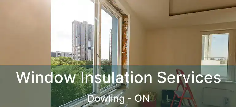 Window Insulation Services Dowling - ON