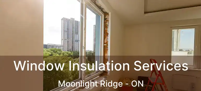  Window Insulation Services Moonlight Ridge - ON