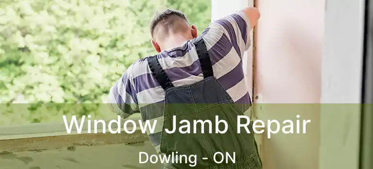  Window Jamb Repair Dowling - ON