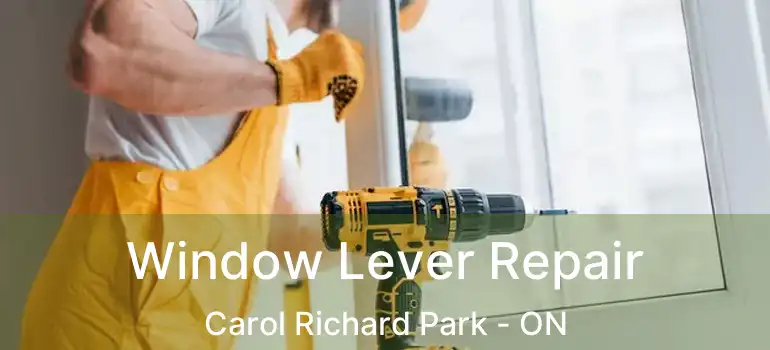  Window Lever Repair Carol Richard Park - ON