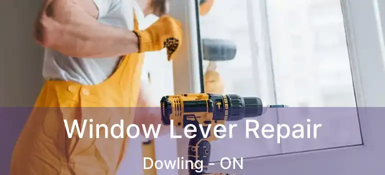  Window Lever Repair Dowling - ON
