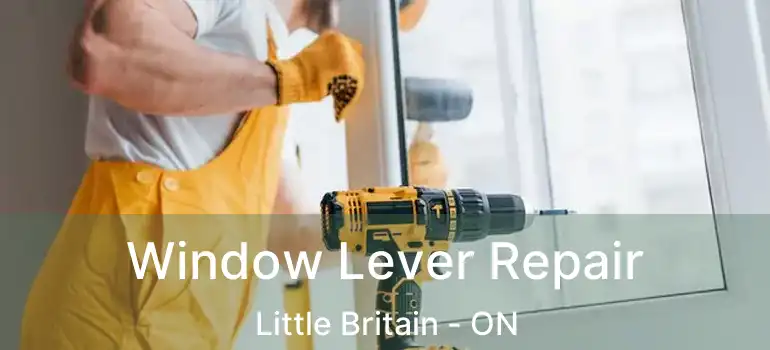  Window Lever Repair Little Britain - ON