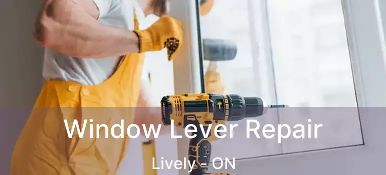  Window Lever Repair Lively - ON