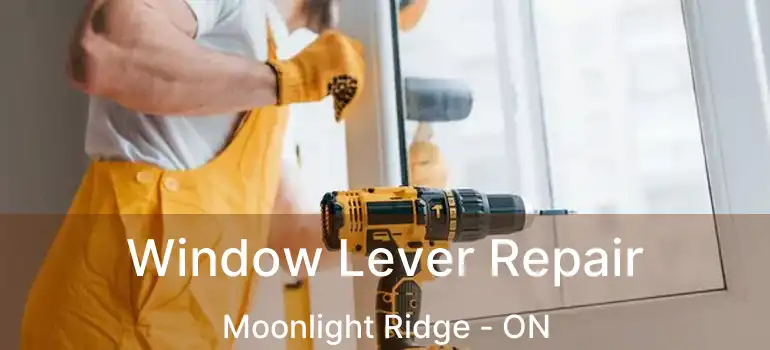  Window Lever Repair Moonlight Ridge - ON