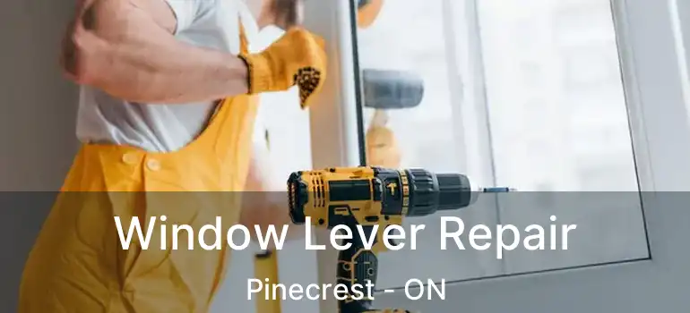  Window Lever Repair Pinecrest - ON