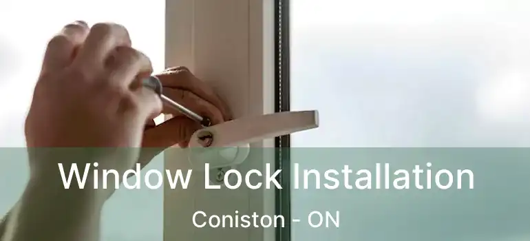  Window Lock Installation Coniston - ON
