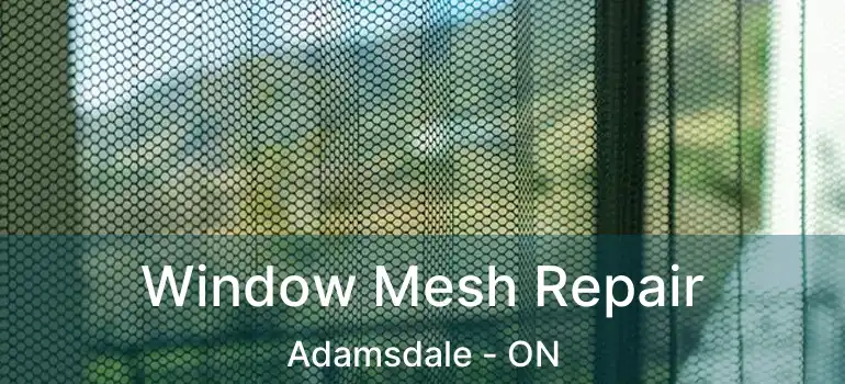  Window Mesh Repair Adamsdale - ON