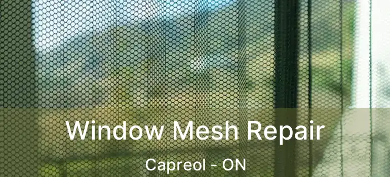  Window Mesh Repair Capreol - ON