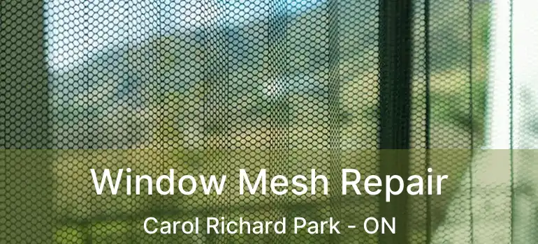  Window Mesh Repair Carol Richard Park - ON