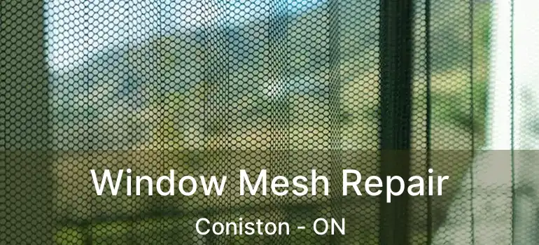  Window Mesh Repair Coniston - ON