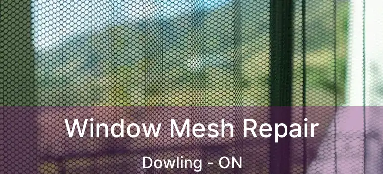  Window Mesh Repair Dowling - ON