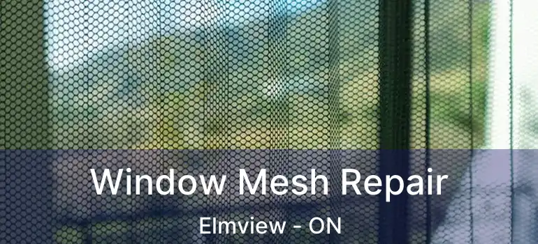  Window Mesh Repair Elmview - ON
