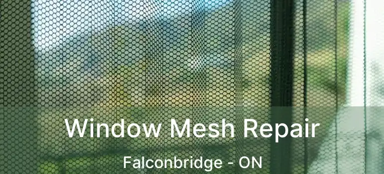  Window Mesh Repair Falconbridge - ON