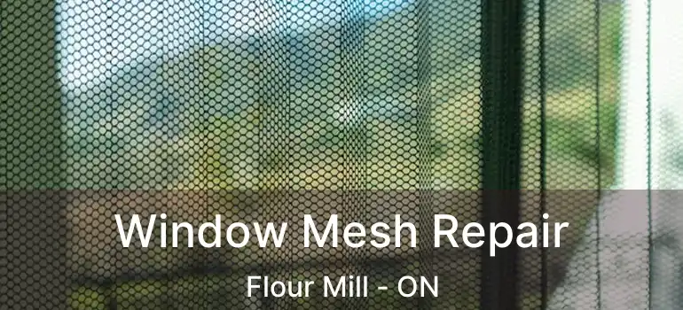  Window Mesh Repair Flour Mill - ON