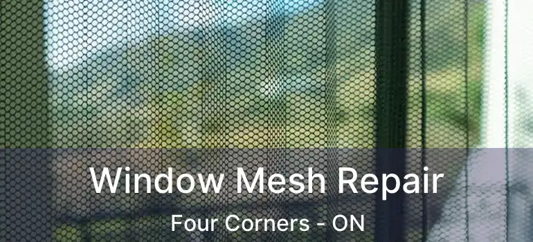  Window Mesh Repair Four Corners - ON