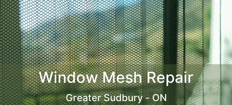  Window Mesh Repair Greater Sudbury - ON