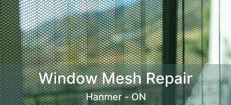  Window Mesh Repair Hanmer - ON