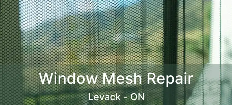  Window Mesh Repair Levack - ON