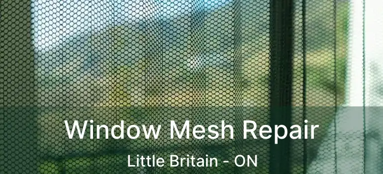  Window Mesh Repair Little Britain - ON