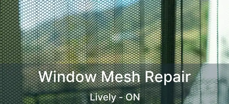  Window Mesh Repair Lively - ON