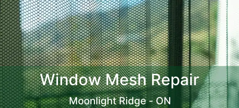  Window Mesh Repair Moonlight Ridge - ON