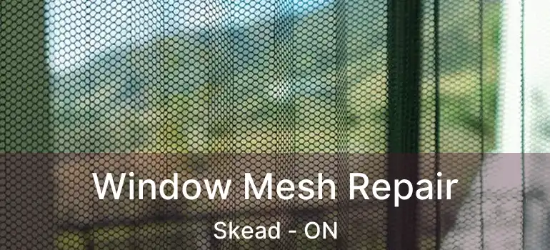  Window Mesh Repair Skead - ON