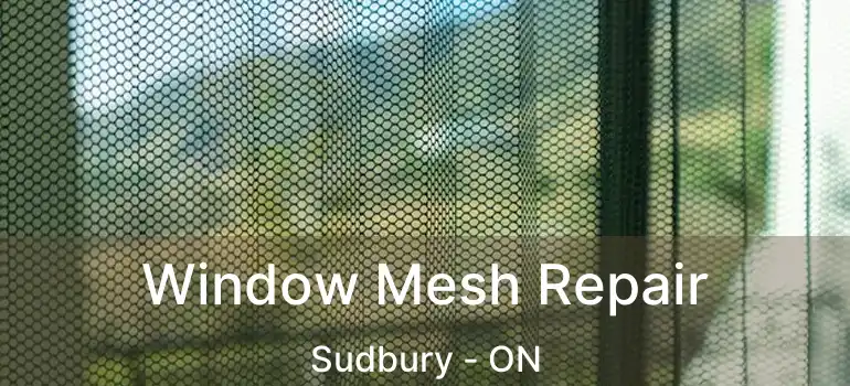  Window Mesh Repair Sudbury - ON