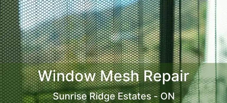  Window Mesh Repair Sunrise Ridge Estates - ON