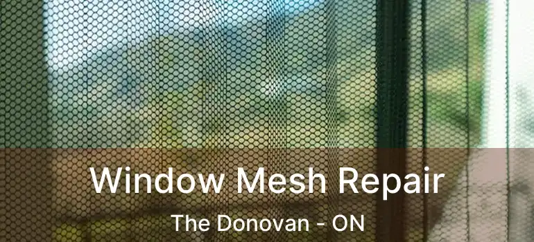  Window Mesh Repair The Donovan - ON
