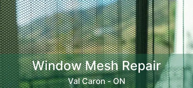  Window Mesh Repair Val Caron - ON