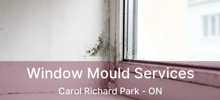  Window Mould Services Carol Richard Park - ON