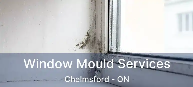 Window Mould Services Chelmsford - ON