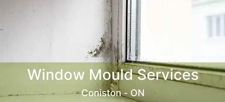  Window Mould Services Coniston - ON