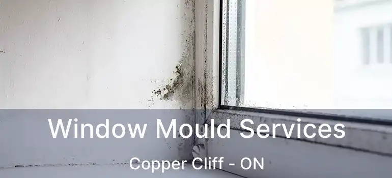  Window Mould Services Copper Cliff - ON